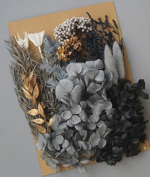 Set Gedroogde Bloemen & Hydrangea voor Ambacht & Decoratie