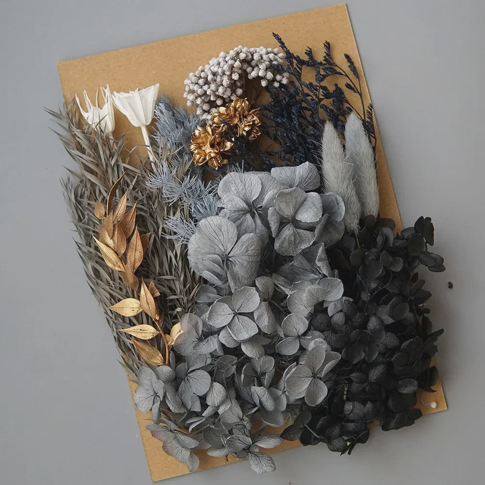 Set Gedroogde Bloemen & Hydrangea voor Ambacht & Decoratie