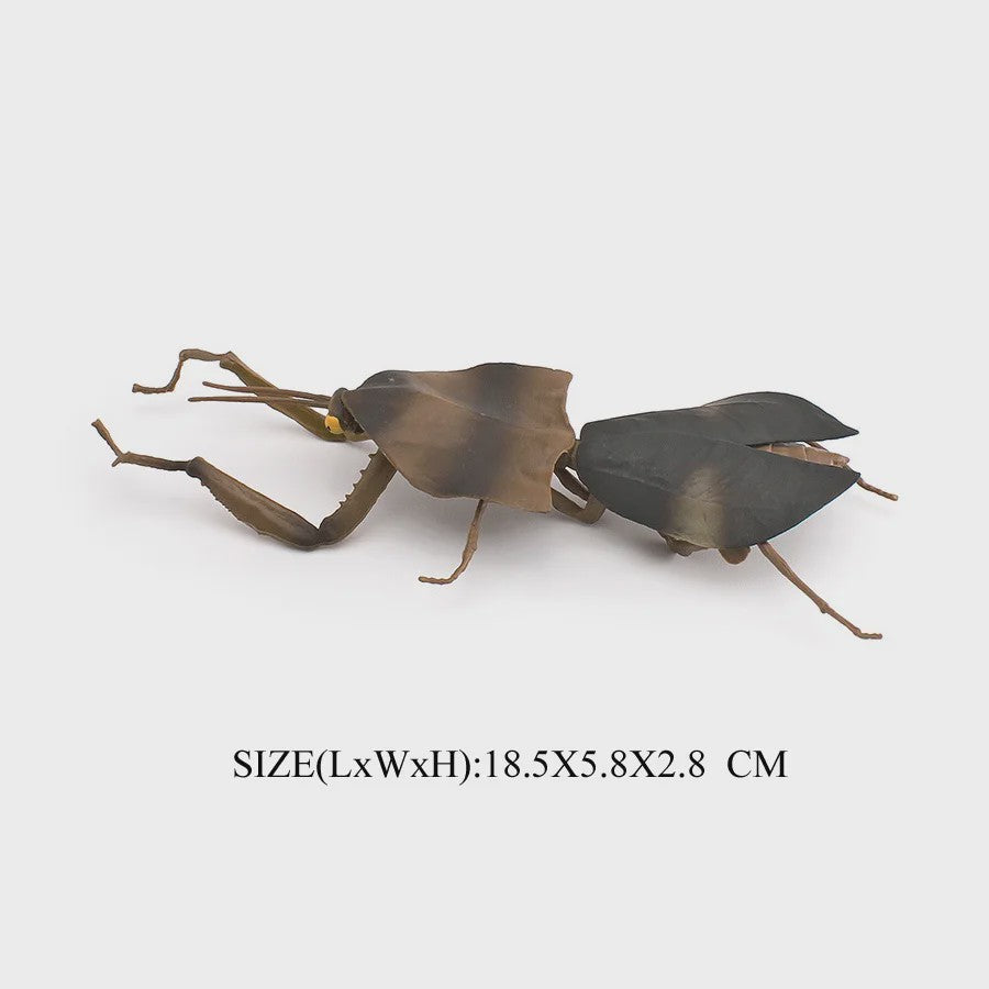 Realistische Insecten Model Figuren: Bidsprinkhaan, Bladwesp & Meer - Educatief Speelgoed & Decoratie