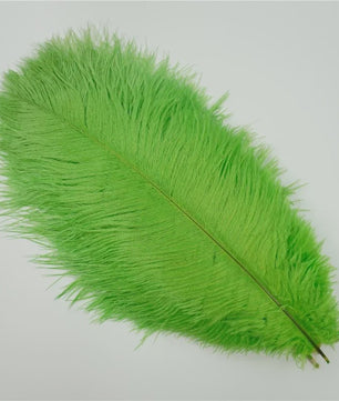 Set van 10 Gekleurde Struisvogelveren voor Knutselen, Decoratie en Feesten