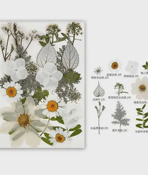 30 Stuks Gedroogde Persbloemen - Natuurlijke Bloemen & Bladeren voor Resin Art, Knutselen en Decoratie