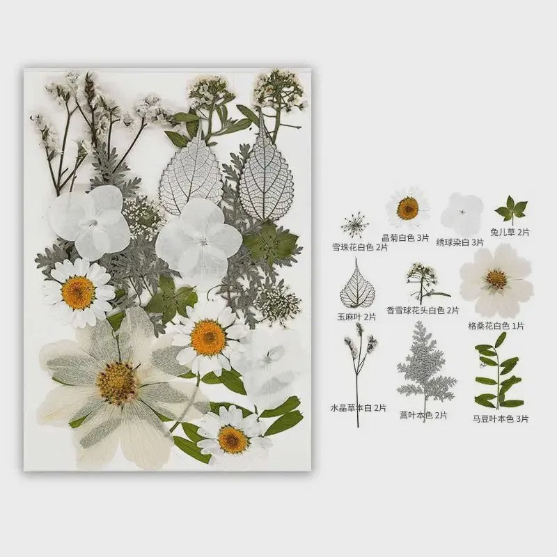 30 Stuks Gedroogde Persbloemen - Natuurlijke Bloemen & Bladeren voor Resin Art, Knutselen en Decoratie
