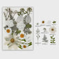 30 Stuks Gedroogde Persbloemen - Natuurlijke Bloemen & Bladeren voor Resin Art, Knutselen en Decoratie