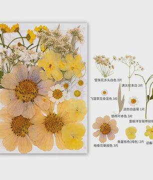 Set Gedroogde Bloemen & Bladeren (16-19 Stuks) - Natuurlijk & Realistisch