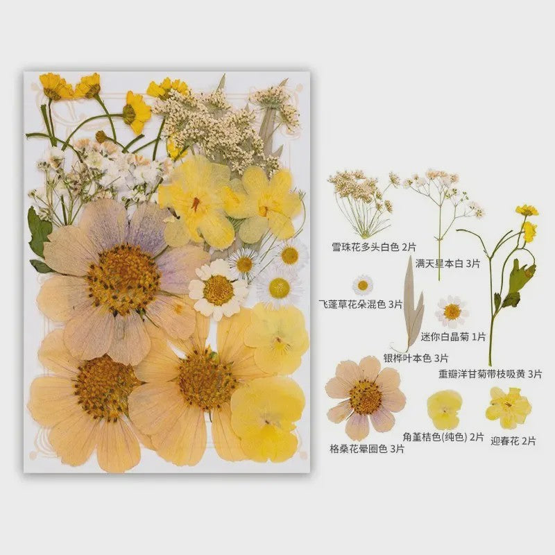 Set Gedroogde Bloemen & Bladeren (16-19 Stuks) - Natuurlijk & Realistisch