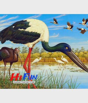 Diamond Painting Ooievaar Kustvogel - Volledige Ronde Diamanten Borduurkit voor Muurkunst