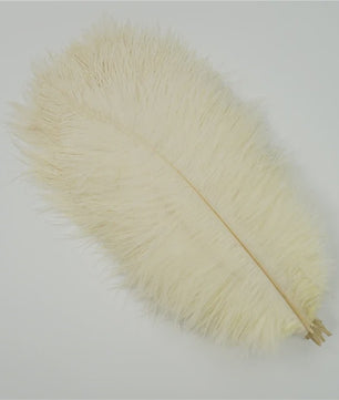 Set van 10 Gekleurde Struisvogelveren voor Knutselen, Decoratie en Feesten