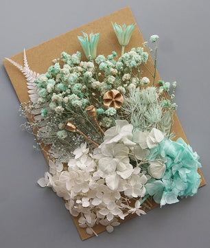 Set Gedroogde Bloemen & Hydrangea voor Ambacht & Decoratie