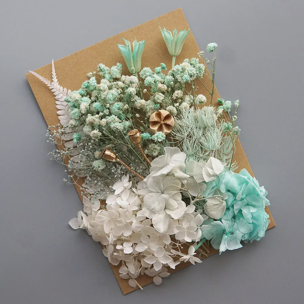 Set Gedroogde Bloemen & Hydrangea voor Ambacht & Decoratie
