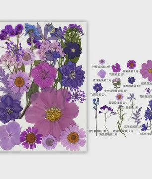 30 Stuks Gedroogde Persbloemen - Natuurlijke Bloemen & Bladeren voor Resin Art, Knutselen en Decoratie