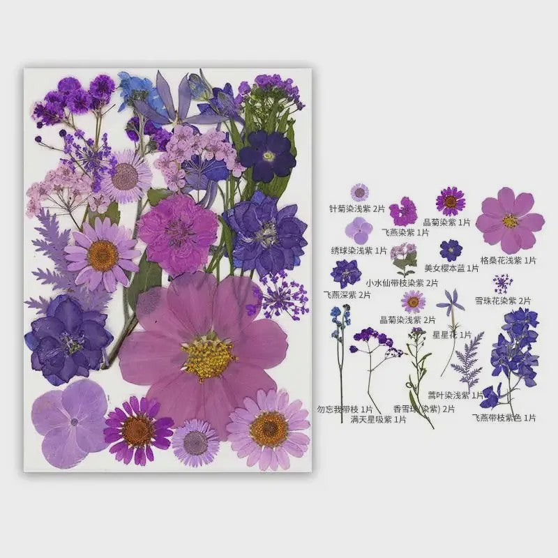 30 Stuks Gedroogde Persbloemen - Natuurlijke Bloemen & Bladeren voor Resin Art, Knutselen en Decoratie