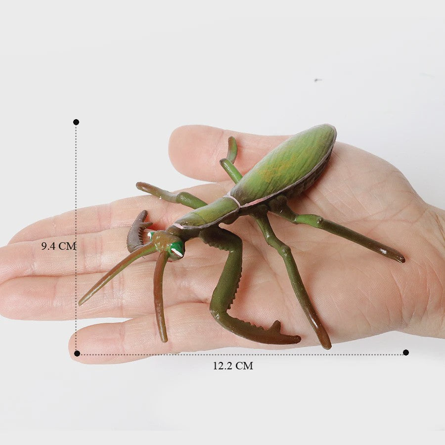 Realistische Insecten & Slakken Modellen - Educatief Speelgoed, Verzamelen & Decoratie