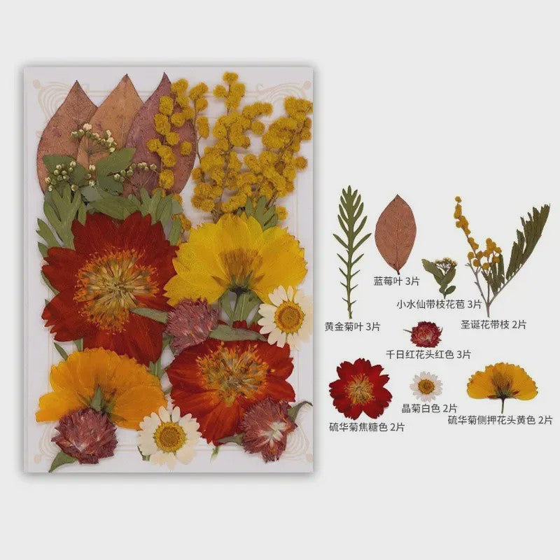 Set Gedroogde Bloemen & Bladeren (16-19 Stuks) - Natuurlijk & Realistisch
