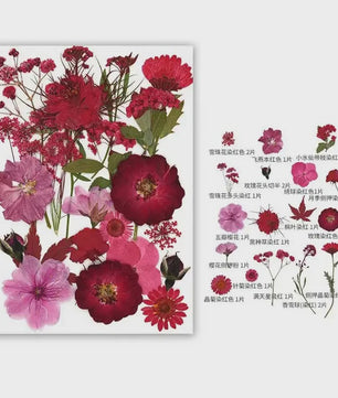 30 Stuks Gedroogde Persbloemen - Natuurlijke Bloemen & Bladeren voor Resin Art, Knutselen en Decoratie