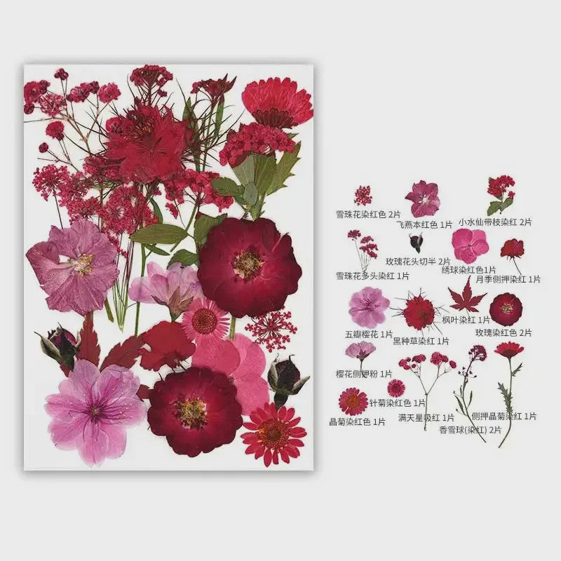 30 Stuks Gedroogde Persbloemen - Natuurlijke Bloemen & Bladeren voor Resin Art, Knutselen en Decoratie