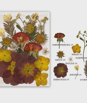 Set Gedroogde Bloemen & Bladeren (16-19 Stuks) - Natuurlijk & Realistisch