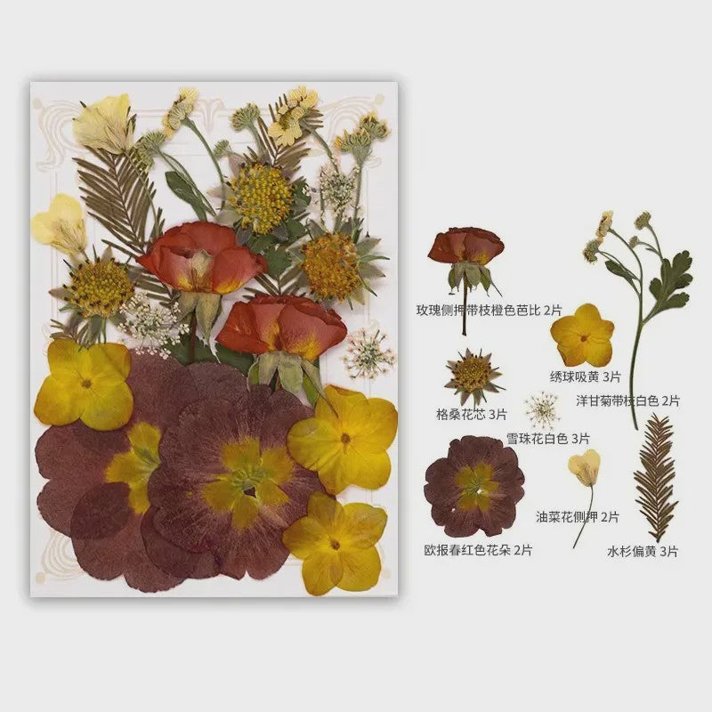 Set Gedroogde Bloemen & Bladeren (16-19 Stuks) - Natuurlijk & Realistisch