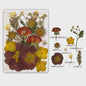 Set Gedroogde Bloemen & Bladeren (16-19 Stuks) - Natuurlijk & Realistisch