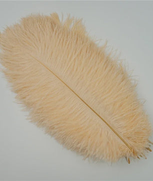 Set van 10 Gekleurde Struisvogelveren voor Knutselen, Decoratie en Feesten