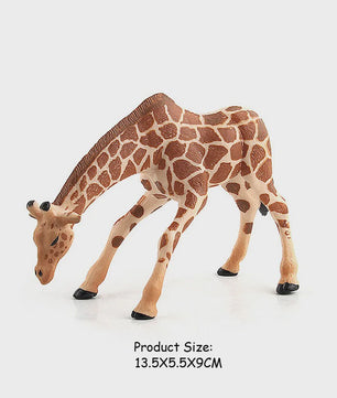 Realistische Wilde Dieren Figuren Set: Okapi, Giraf, Gnu & Zebra - Educatief Speelgoed voor Kinderen