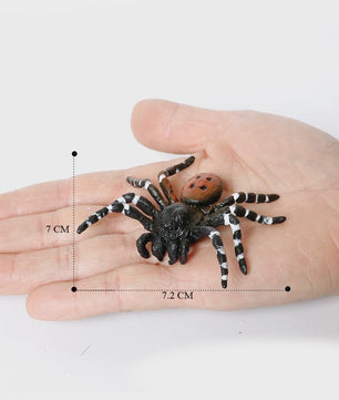 Montessori Levenscyclus Insecten Speelgoed: Spin, Duizendpoot, Schorpioen & Mier