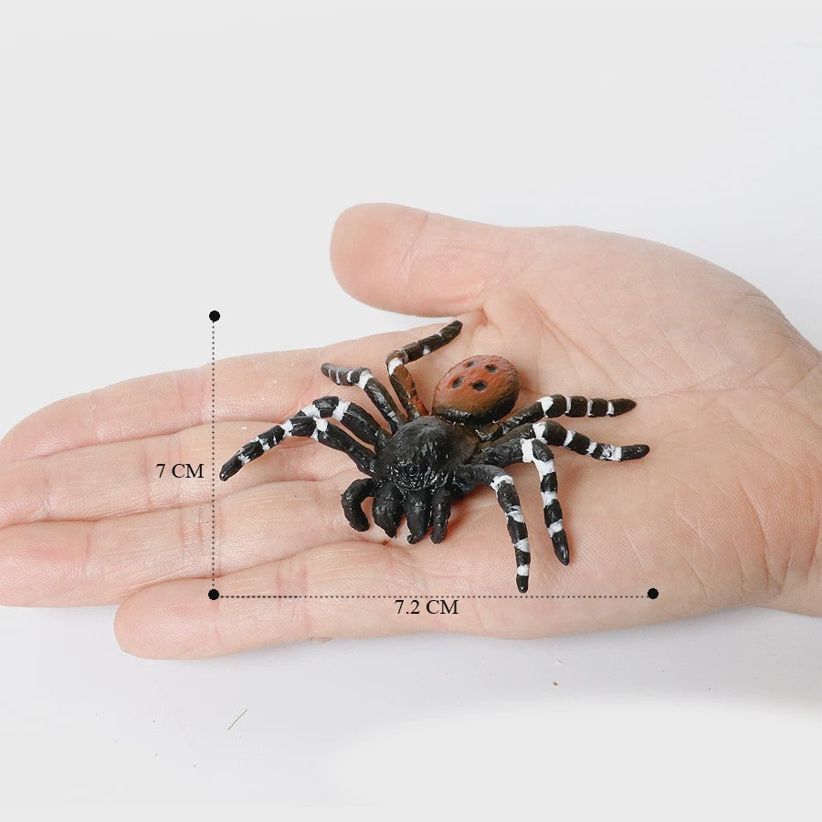 Montessori Levenscyclus Insecten Speelgoed: Spin, Duizendpoot, Schorpioen & Mier