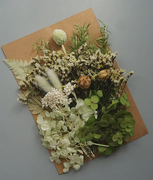 Set Gedroogde Bloemen & Hydrangea voor Ambacht & Decoratie