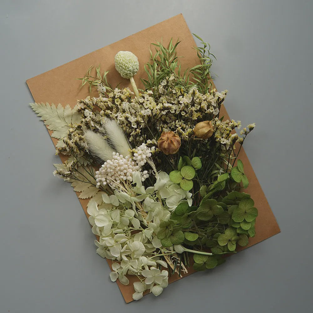 Set Gedroogde Bloemen & Hydrangea voor Ambacht & Decoratie