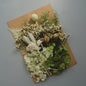 Set Gedroogde Bloemen & Hydrangea voor Ambacht & Decoratie