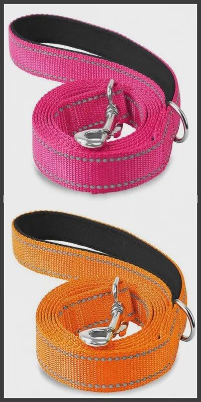 Veilige Hondentuig & Lijn Set met Nachtreflectie - Padded Handvat
