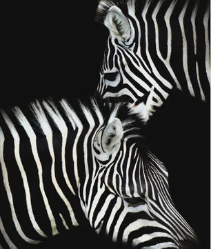 Moderne Canvas Schilderijen met Dieren: Leeuw, Olifant, Zebra & meer - Minimalistische Wanddecoratie
