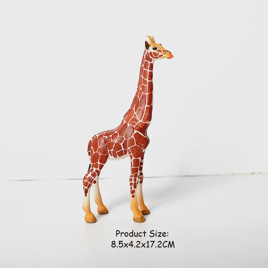 Realistische Wilde Dieren Figuren Set: Okapi, Giraf, Gnu & Zebra - Educatief Speelgoed voor Kinderen