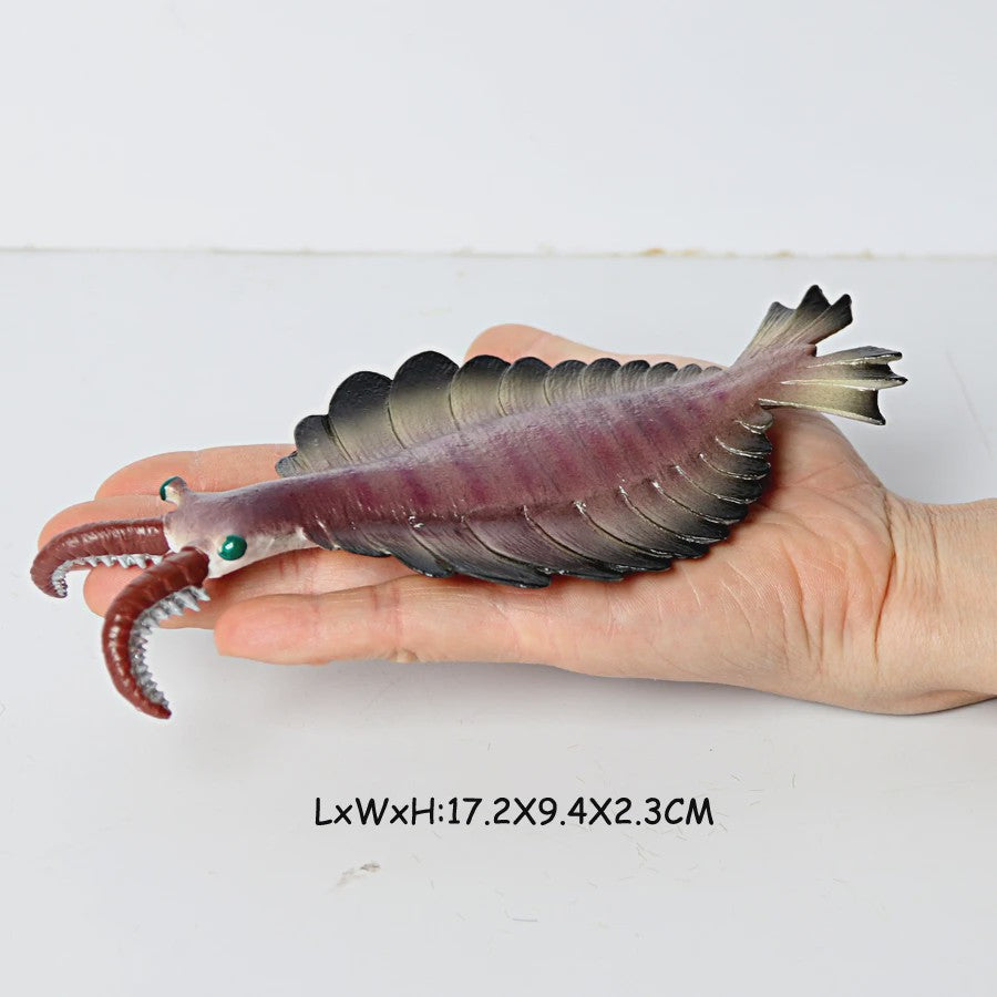 Educatieve Prehistorische Zeedieren Figuren Set: Baculite, Opabinia, Krab & Meer