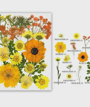 30 Stuks Gedroogde Persbloemen - Natuurlijke Bloemen & Bladeren voor Resin Art, Knutselen en Decoratie