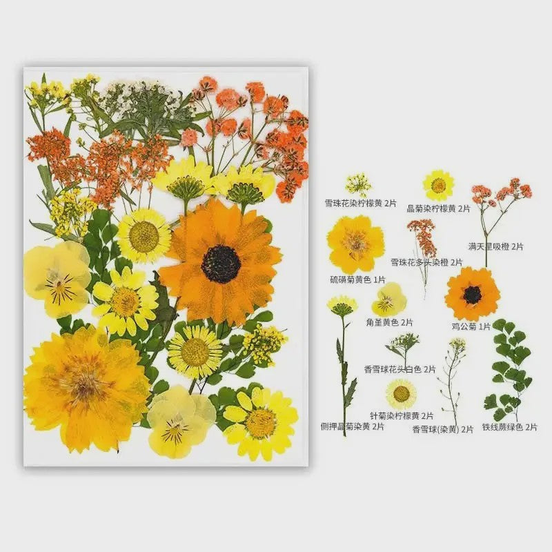 30 Stuks Gedroogde Persbloemen - Natuurlijke Bloemen & Bladeren voor Resin Art, Knutselen en Decoratie