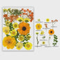 30 Stuks Gedroogde Persbloemen - Natuurlijke Bloemen & Bladeren voor Resin Art, Knutselen en Decoratie