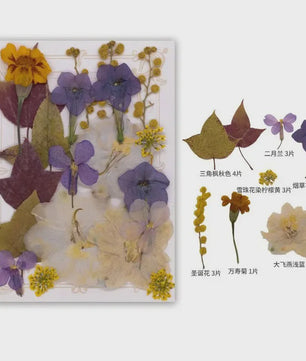 Set Gedroogde Bloemen & Bladeren (16-19 Stuks) - Natuurlijk & Realistisch