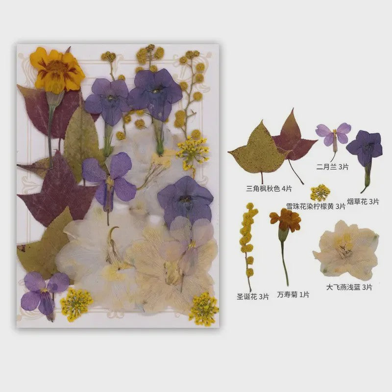 Set Gedroogde Bloemen & Bladeren (16-19 Stuks) - Natuurlijk & Realistisch