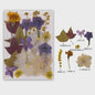 Set Gedroogde Bloemen & Bladeren (16-19 Stuks) - Natuurlijk & Realistisch