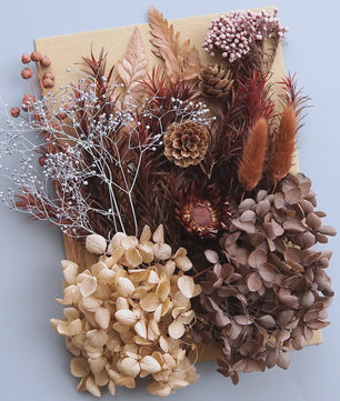 Set Gedroogde Bloemen & Hydrangea voor Ambacht & Decoratie