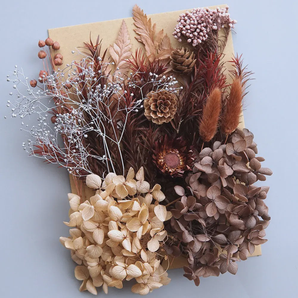 Set Gedroogde Bloemen & Hydrangea voor Ambacht & Decoratie