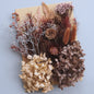 Set Gedroogde Bloemen & Hydrangea voor Ambacht & Decoratie