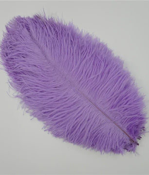Set van 10 Gekleurde Struisvogelveren voor Knutselen, Decoratie en Feesten