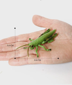 Realistische Insecten & Slakken Modellen - Educatief Speelgoed, Verzamelen & Decoratie