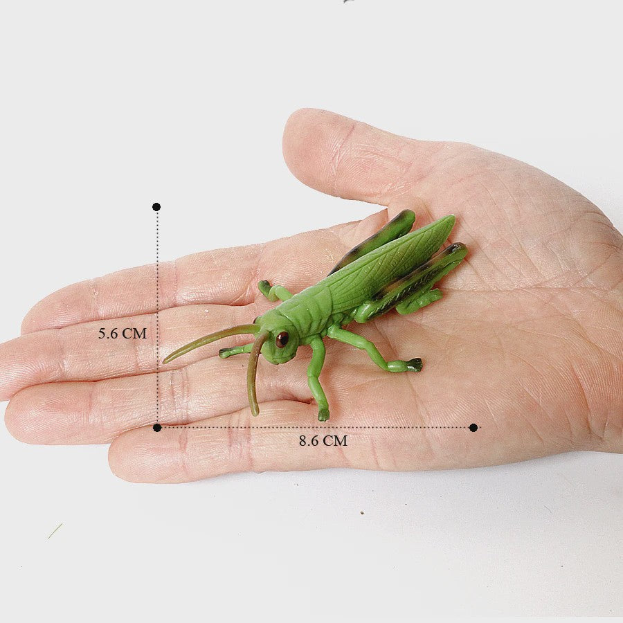 Realistische Insecten & Slakken Modellen - Educatief Speelgoed, Verzamelen & Decoratie