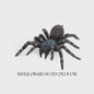 Montessori Levenscyclus Insecten Speelgoed: Spin, Duizendpoot, Schorpioen & Mier