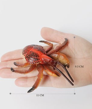 Educatieve Prehistorische Zeedieren Figuren Set: Baculite, Opabinia, Krab & Meer