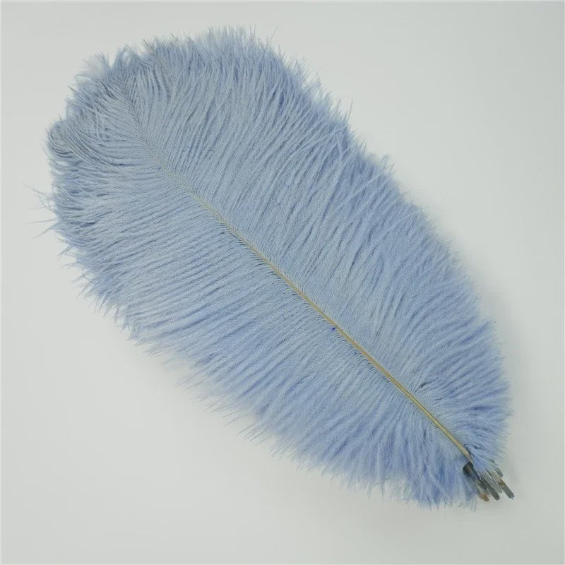 Set van 10 Gekleurde Struisvogelveren voor Knutselen, Decoratie en Feesten