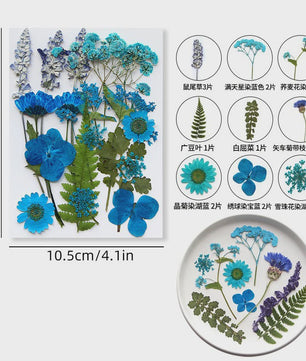 Set Gedroogde Bloemen & Bladeren (16-19 Stuks) - Natuurlijk & Realistisch