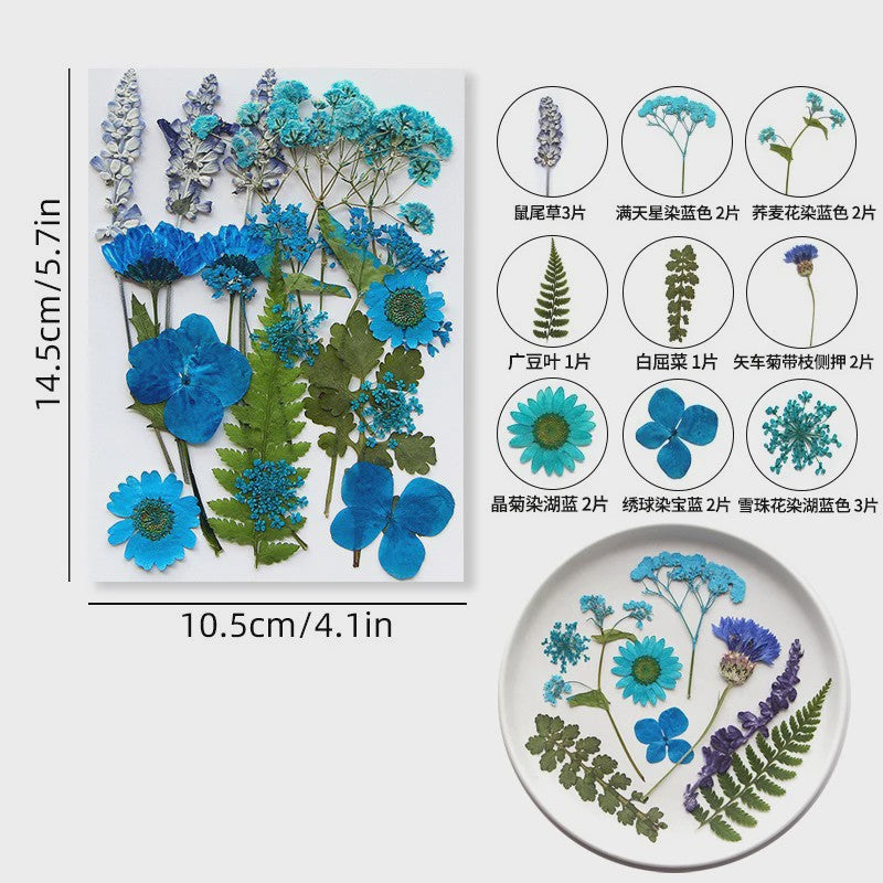 Set Gedroogde Bloemen & Bladeren (16-19 Stuks) - Natuurlijk & Realistisch